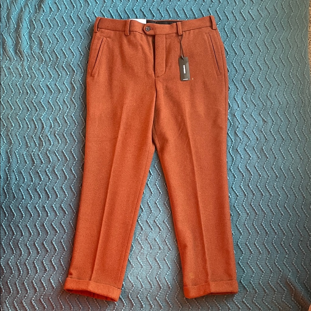 Men's Express Rust Orange Pants